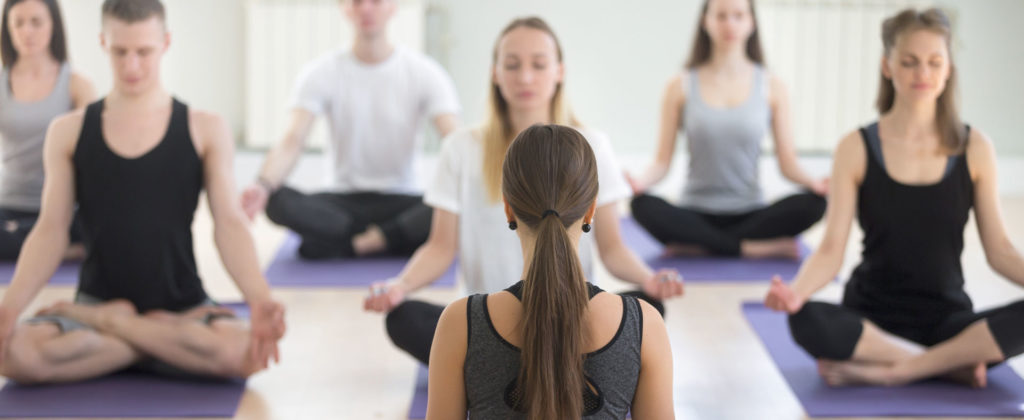 Wellness Professional Marketing